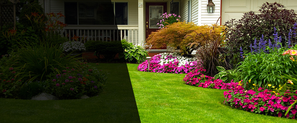 New Haven Landscapers