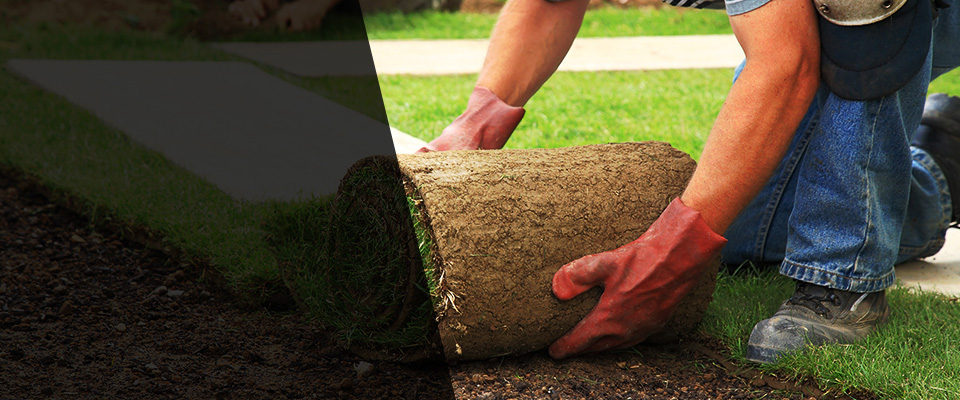 New Haven Landscapers